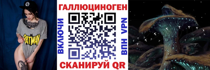 Галлюциногенные грибы GOLDEN TEACHER  blacksprut ссылки  Биробиджан 